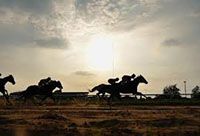 Silhouettes of horses racing, giving all their power to reaching the finish line.