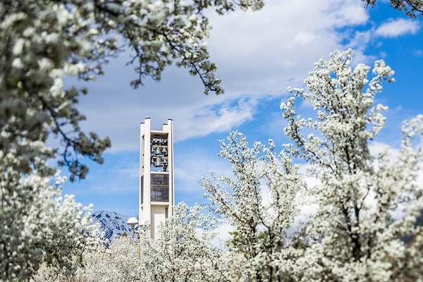 The BYU bell tower framed by white blossoming trees.