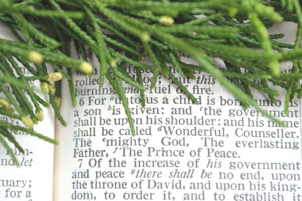 Evergreen boughs border Isaiah 9:6 in the Bible.