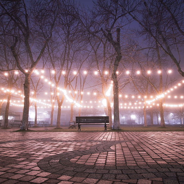 Photo of a park and a park bench at night with romantic bistro lights strung up.