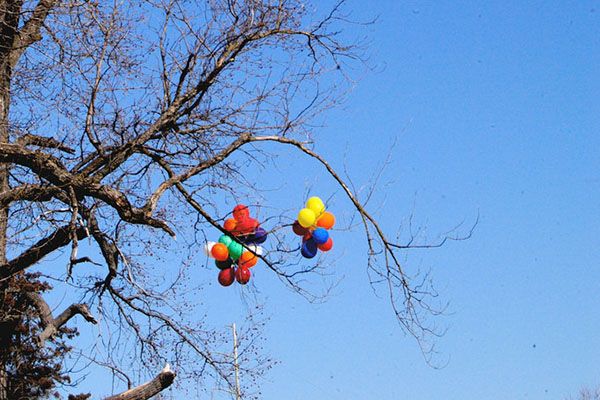 Balloons stuck in a tree branch