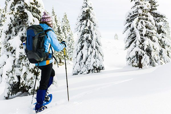 Person Snowshoeing through a snow covered forest