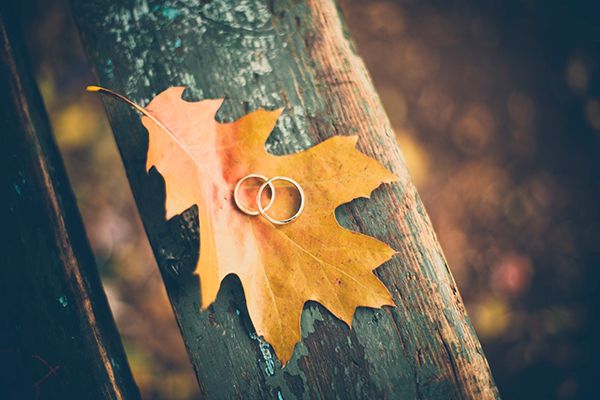 Two wedding rings on top of an autumn leaf