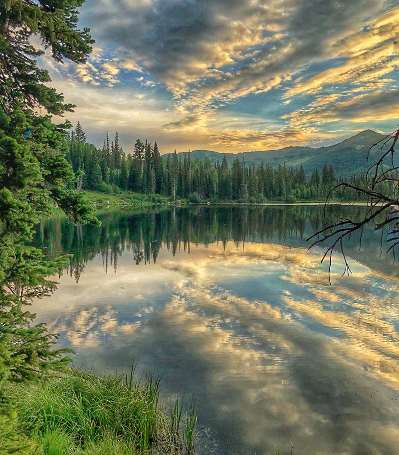 Clouds reflecting off a crystal clear lake surrounded by pine trees